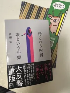 母という呪縛 娘という牢獄 齊藤彩　文庫本