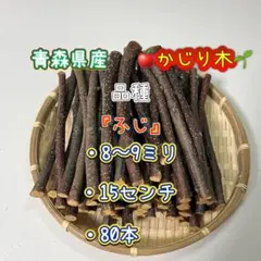 Item thumbnail for item e40c5578-3fae-41b1-aeb0-9c8be046c2e9