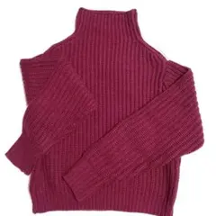 バーガンディ タートルネック ニット