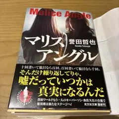 マリスアングル