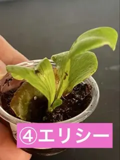 速達❣️ジョン様 リクエスト 8点 まとめ商品