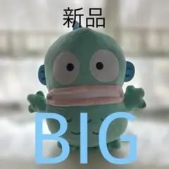 2026年最新】ハンギョドン ぬいぐるみ 恐竜の人気アイテム - メルカリ