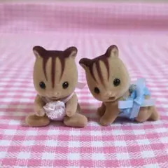 シルバニア 海外版 くるみリス 赤ちゃん 双子 CALICO CRITTERS