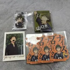 ハイキュー!! 山口忠