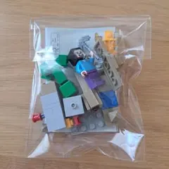 LEGO Minecraft 30647①