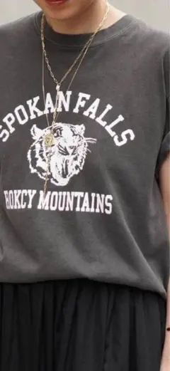GULF COAST SPORTSWEAR SPOKAN FALLS Tシャツのサムネイル