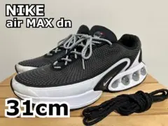 NIKE air MAX dn(31cm)