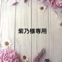 紫乃様専用　オーダーページ