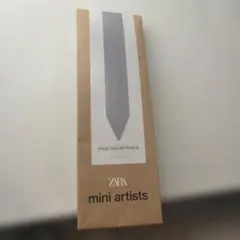 ZARAのFace color Pencil シルバー色のサムネイル