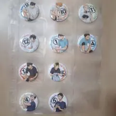 ハイキュー 缶バッジ 全10種 烏野　青葉城西　音駒　梟谷