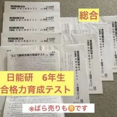日能研 2025年度 6年生 学習力育成テスト 合格力育成テスト 合計22回分 日能研2025年6年生 学習力育成テスト 夏期講習特別テスト4回 サマー