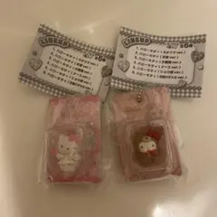 【本日限定】ハローキティ ミニチュアフィギュア 2種セット