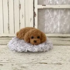 トイプードル＊お迎えまだかなぁ＊毛羊毛フェルト　ぬいぐるみ　ミニチュア