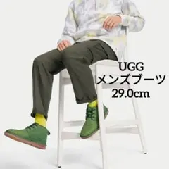 Item thumbnail for item 3653446d-8e93-4169-a685-4b6936cd5abb