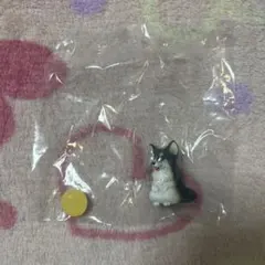 チワワ カプセルトイ