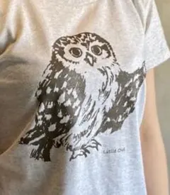 【リピーター様用】フクロウTシャツ　 即発送可能。感謝価格ですよ！のサムネイル