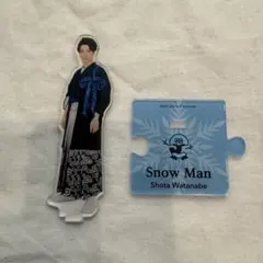SnowMan 渡辺翔太 アクスタ ISLAND Store 第2弾