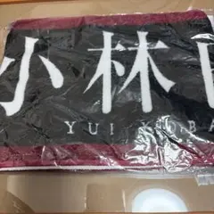 Item thumbnail for item 168a2c3d-c74e-45a2-b095-efa4c0c8d299