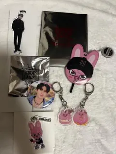 トエッキ　チャンビン　skzoo ポップアップ　まとめ売り　ランダム