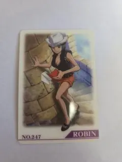 ワンピース 海賊王グミ カード No.165 ロビン - メルカリ