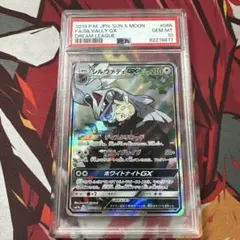 シルヴァディGX SA PSA10