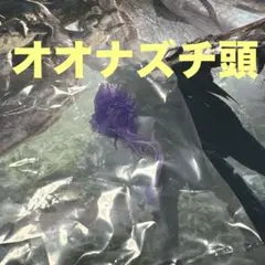 モンスターハンター　モンハン　オオナズチ　ボーナスパーツ　クリアパーツ