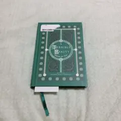 A Terrible Beauty: Poetry of 1916 洋書