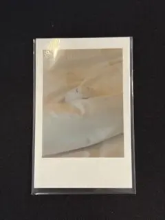 2025年最新】ado チェキ シークレットの人気アイテム - メルカリ