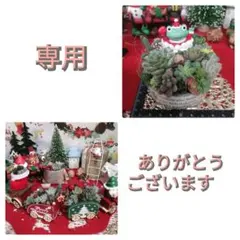 がっくん様 リクエスト 2点 まとめ商品