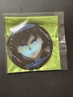 鬼滅の刃　冨岡義勇　ものがたる眼差し　コレクション 缶バッジ　A まとめ割引あり