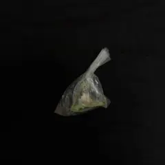 サンリオ シャカシャカテトラチャーム ポチャッコ
