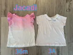 Item thumbnail for item 27f09136-9295-43d6-a3a1-f87e8b9d43c7