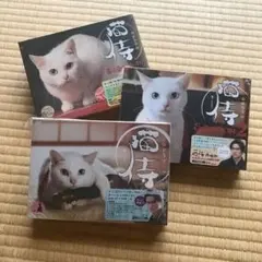 猫侍