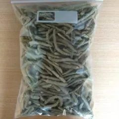 Item thumbnail for item efe7d6a4-0641-46b7-8f53-efac78a7e731