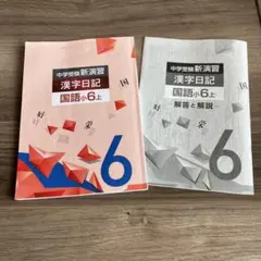 【中学受験】中学受験新演習 漢字日記 国語 小6上