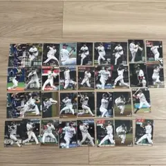 埼玉西武ライオンズ プロ野球チップスカード