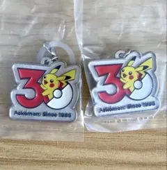 ポケモン　30周年 メタルチャームマスコット　ピカチュウ2点セット