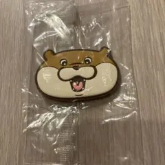可愛い嘘のカワウソ　マグネット　カワウソ