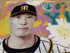 Item thumbnail for item 1e1392b9-f227-4dd5-be6b-e5bed30c534d