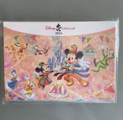 非売品　ディズニーJCBカード特典　ピンバッジ40周年