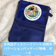 2026年最新】ディズニー バケーション パッケージの人気アイテム