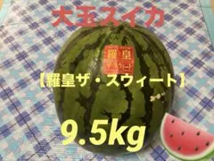 大玉スイカ　愛知尾張産　羅皇ザ・スウィートのサムネイル