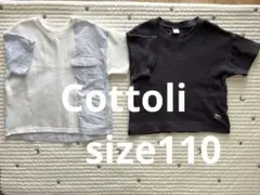 Cottoli キッズTシャツ2枚セット バースデイ