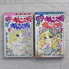 ア*ナ様 1995.愛天使伝説ウェディングピーチ 、藤井みどり.雑誌