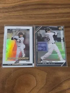 Item thumbnail for item 74cb76ab-b4cf-417b-b443-3c0a1c2d0961