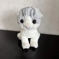 スコティッシュフォールド グレー ぬいぐるみのサムネイル
