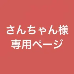 さんちゃん様専用ページ