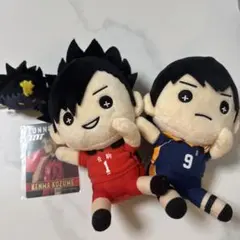 ハイキュー　黒尾　影山　たすっこ　ぬいぐるみセット　おまけ付
