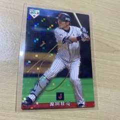 侍ジャパンチップス プロ野球カード　トレカ　源田壮亮