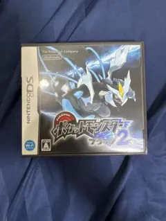 ポケットモンスター ブラック2 ソフト 色違い多数